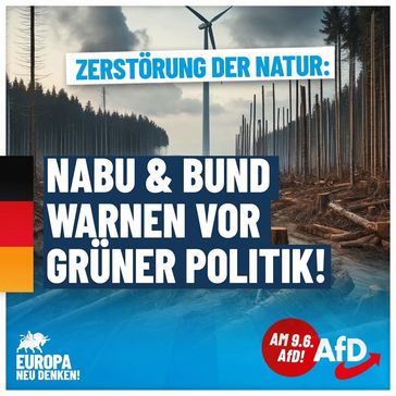 Bild: AfD Deutschland