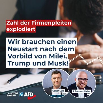 Bild: AfD Deutschland