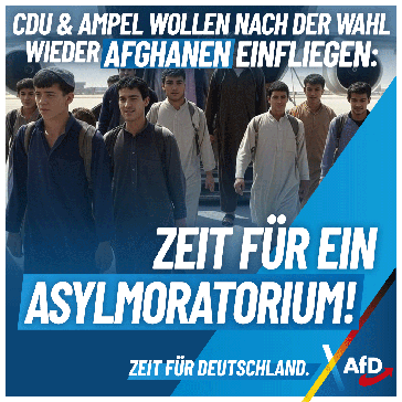 Bild: AfD Deutschland