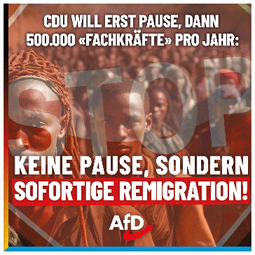 Bild: AfD Deutschland