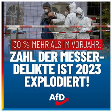 Bild: AfD Deutschland