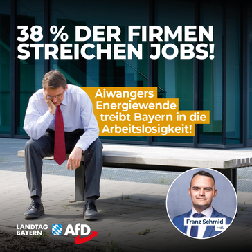 Bild: AfD Deutschland