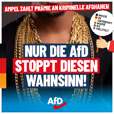 Bild: AfD Deutschland