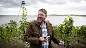 Weinbauer Dr. Wobar auf sein Weinhang vom Großräschener See - eines ehemaligen Braunkohletagebaus in der Lausitz.  Bild: "obs/Novihum Technologies GmbH/CHRISTIAN T. JØRGENSEN"