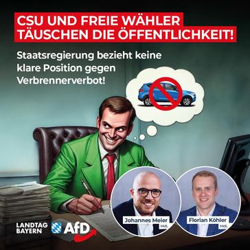 Bild: AfD Deutschland