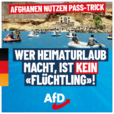 Bild: AfD Deutschland