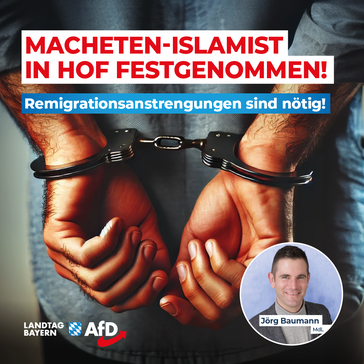 Bild: AfD Deutschland