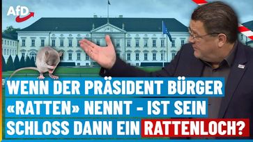 Bild: AfD Deutschland