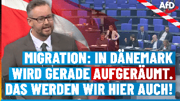 Bild: AfD Deutschland