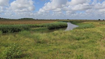 Das Einzugsgebiet des Limpopo-Flusses. Hier hat der ein Vorfahre des Menschen, Paranthropus robustus vor etwa zwei Millionen Jahren gelebt. Quelle: Foto: MARUM - Zentrum für Marine Umweltwissenschaften der Universität Bremen (idw)