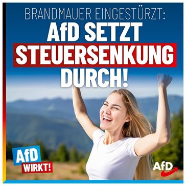 Bild: AfD Deutschland