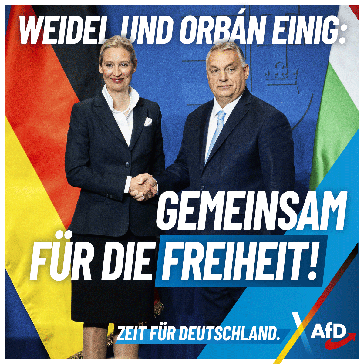 Bild: AfD Deutschland