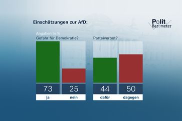 Einschätzungen zur AfD