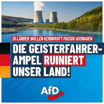 Bild: AfD Deutschland