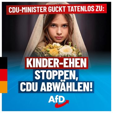 Bild: AfD Deutschland