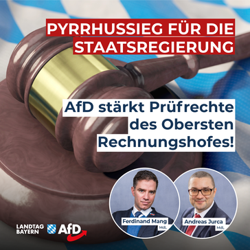 Bild: AfD Deutschland