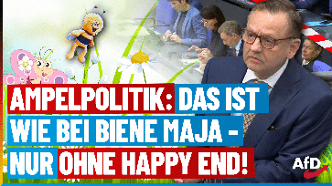 Bild: AfD Deutschland