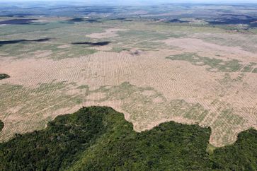 Entwaldung im Amazonasbecken