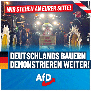 Bild: AfD Deutschland