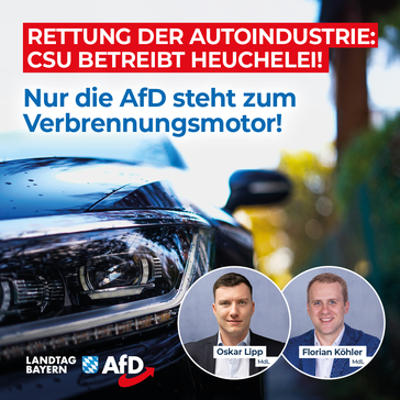 Bild: AfD Deutschland