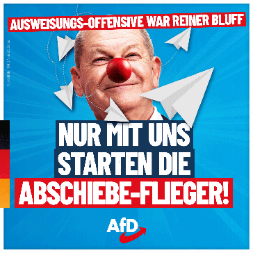 Bild: AfD Deutschland