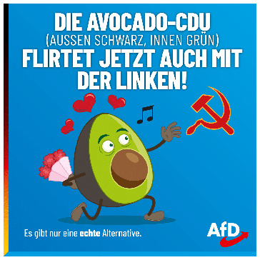 Bild: AfD Deutschland