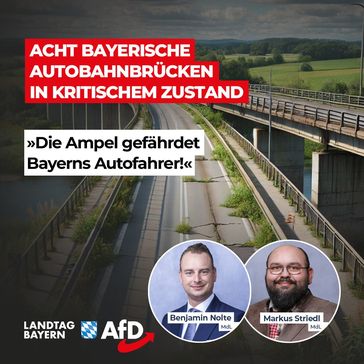 Bild: AfD Deutschland