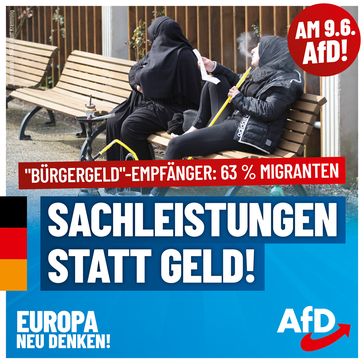 Bild: AfD Deutschland