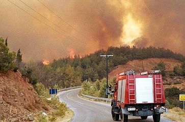 Fahrzeug der griechischen Feuerwehr auf dem Weg zum Einsatzort. (Symbolbild)