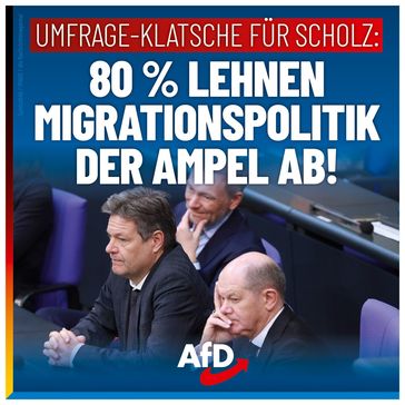 Bild: AfD Deutschland