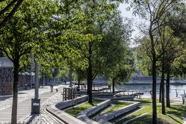 Ein gutes Stadtklima benötigt ein wesentliches breiteres Sortiment an Zukunftsbäumen, Bild: "obs/Bund deutscher Baumschulen (BdB) e.V./Ferdinand Graf Luckner"