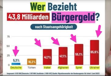 Bürgergeldbezieher nach Nationalität (Stand Juni 2023)