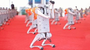 Unitree-Roboter auf der World Robotics Conference 2024 in Peking  Bild: The International Federation of Robotics Fotograf: The International Federation of Robotics