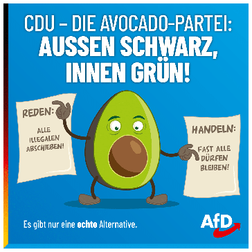 Bild: AfD Deutschland