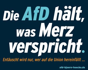 Bild: Screenshot Internetseite: "https://afd-bjoern-hoecke.de/" / Eigenes Werk