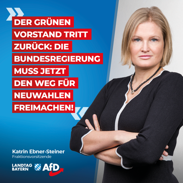 Bild: AfD Deutschland