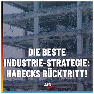 Bild: AfD Deutschland