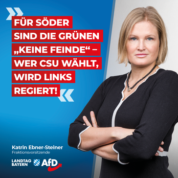 Bild: AfD Deutschland