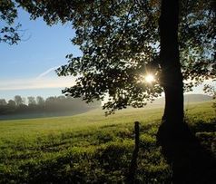 Sonnenaufgang: Natur stärkt die Psyche.