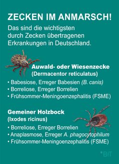 Bildrechte: Bundesverband für Tiergesundheit e.V. Fotograf: Bundesverband für Tiergesundheit