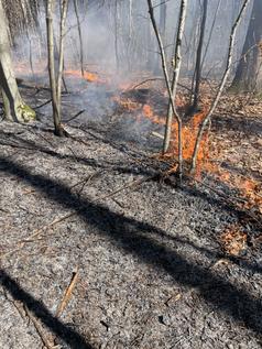 Bild: Feuerwehr Stuttgart