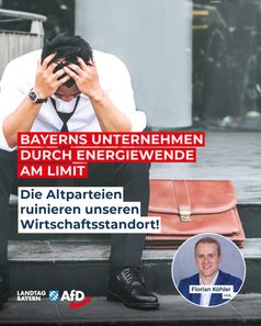 Bild: AfD Deutschland