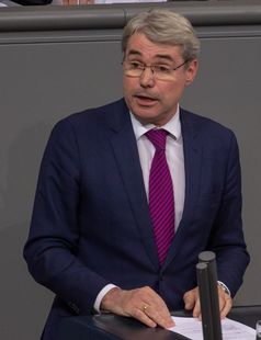 Carl-Julius Cronenberg im Bundestag, 2019