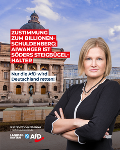 Bild: AfD Deutschland