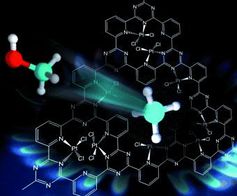 Bild: Gesellschaft Deutscher Chemiker e.V.