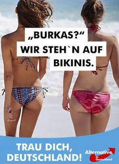 AfD Wahlplakat