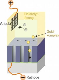 Prinzip der galvanischen Goldabscheidung: Im Elektrolyt gelöste Gold-Komplexe diffundieren in die Hohlräume der Struktur, wo sie an der Kathode zersetzt werden. Die dabei entstehenden Goldionen werden abgeschieden und füllen schließlich die Hohlräume vollständig aus. Grafik: CFN