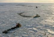 Der Eisbrecher "Vidar Viking", der als Bohrplattform diente, ist im Vordergrund. Der schwedische Eisbrecher "Oden" und der russische Eisbrecher "Sovetskiy Soyuz" im Hintergrund zerkleinerten das driftende Eis, damit das Bohrschiff auf Position gehalten werden konnte. Bild: IODP