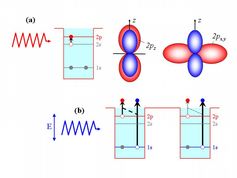 Anschauliche Darstellung der Doppelionisation von präparierten Lithiumatomen (a) durch vertikal polarisiertes UV-Licht (b). Die Wahrscheinlichkeit für die Emission des zweiten Elektrons auf der 2p-Schale hängt davon ab, ob sein Orbital (rote Keulen) parallel oder senkrecht zur Lichtpolarisation ausgerichtet ist. Bild: MPI für Kernphysik