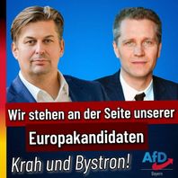 Bild: AfD Deutschland